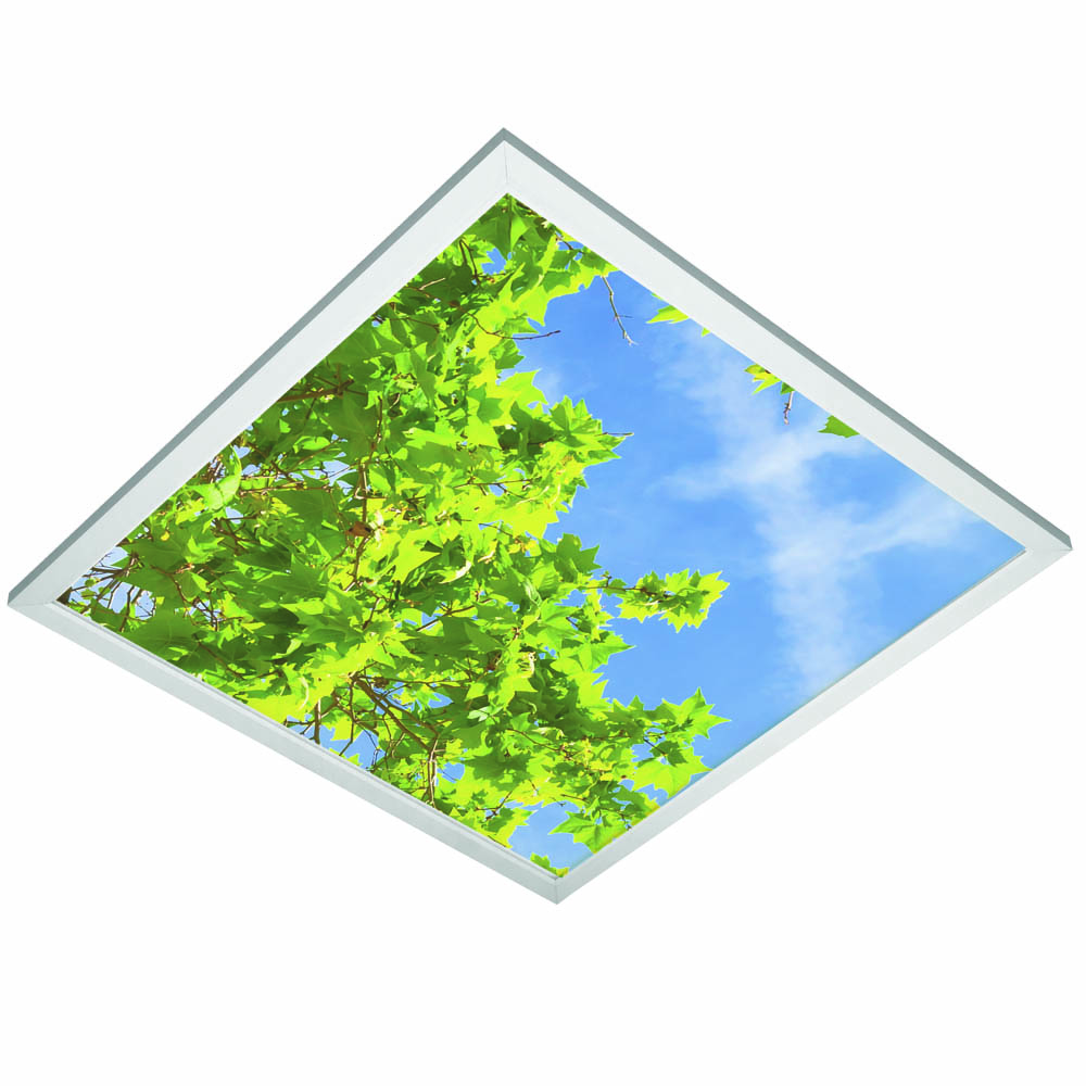 Sky-Panel